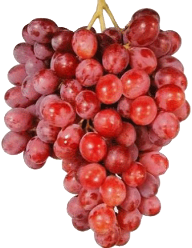 Unifrutti  red seedless grapes, price per pound Full-Size Picture